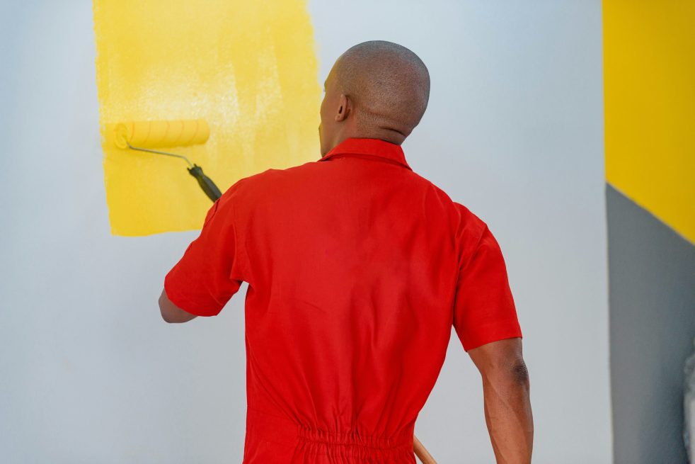 Professional Painter